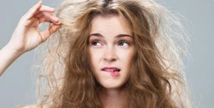 ¡Despídete del Frizz y Saluda a los Rizos Felices! El Aceite de Almendras, tu Mejor Amigo Peludo